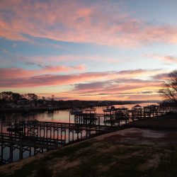 Beach Dreamin' Too Svg+xml,%3Csvg%20xmlns%3D%22http%3A%2F%2Fwww.w3