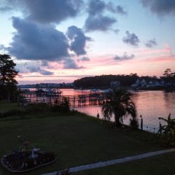 Beach Dreamin' Too Svg+xml,%3Csvg%20xmlns%3D%22http%3A%2F%2Fwww.w3