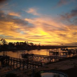 Beach Dreamin' Too Svg+xml,%3Csvg%20xmlns%3D%22http%3A%2F%2Fwww.w3