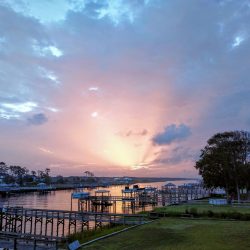 Beach Dreamin' Too Svg+xml,%3Csvg%20xmlns%3D%22http%3A%2F%2Fwww.w3