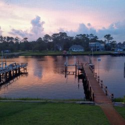 Beach Dreamin' Too Svg+xml,%3Csvg%20xmlns%3D%22http%3A%2F%2Fwww.w3